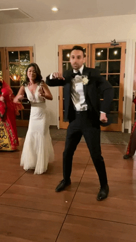 Wedding Couple Party Dance GIF