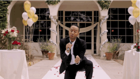 Wedding Dogs John Legend GIF