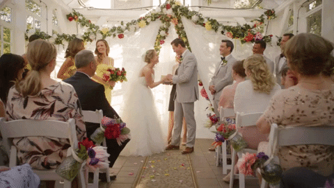 Wedding The Last Bridesmaid GIF
