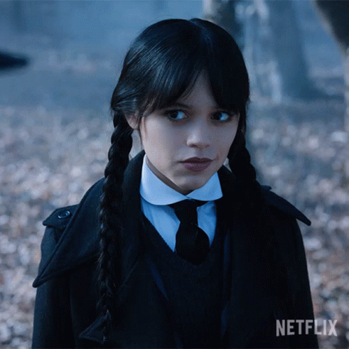 Wednesday Addams Wicked Smile Meme GIF