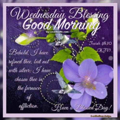 Wednesday Blessing Good Morning Greeting Card With Purple Flowers GIF