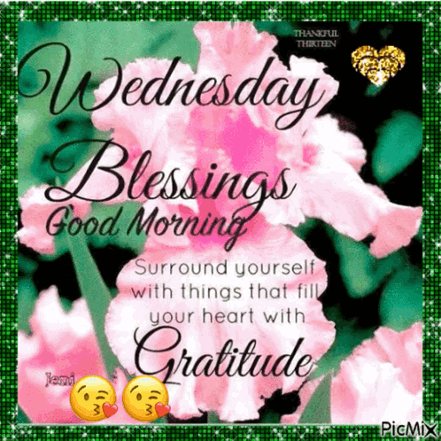 Wednesday Blessings Good Morning Surround Yourself With Things That Fill Your Heart With Gratitude