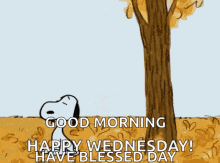 Wednesday Blessings Snoopy Fall Blessed Day GIF