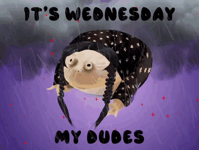 Wednesday Dudes Gif GIF