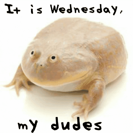Wednesday Dudes Stout Frog Meme GIF