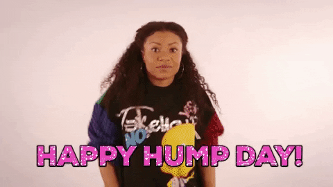 Wednesday Funny Shalita Grant Hump Day Meme GIF