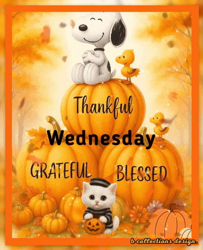 Wednesday Good Morning Wednesday Gif GIF