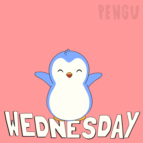 Wednesday Hump Day Gif GIF