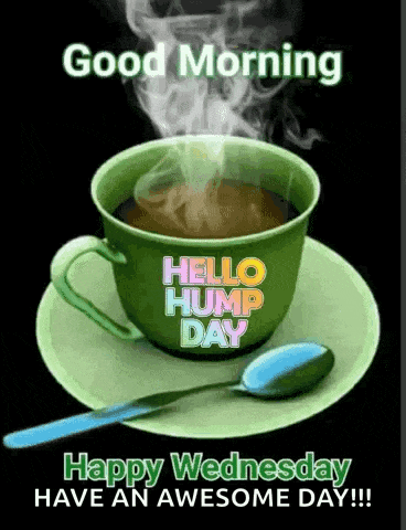 Wednesday Hump Day Gif GIF