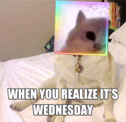 Wednesday Midweek Gif GIF