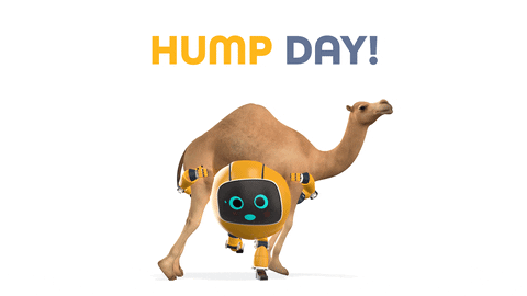 Wednesday Morning Funny Camel Hump GIF