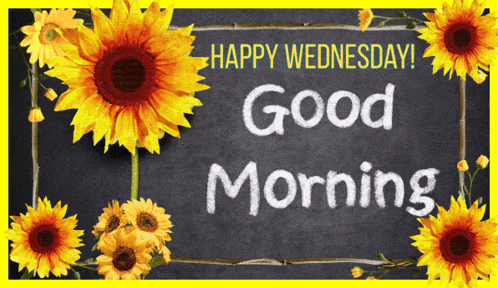 Wednesday Morning Gif GIF