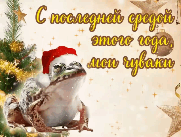 Wednesday My Dudes Gif GIF