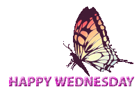 Wednesday Sticker GIF