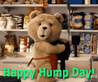 Wednesday Talking Ted Hump Day Meme GIF