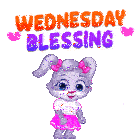 Wednesday Wednesdays Sticker GIF