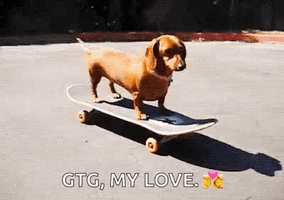 Wednesday Wiener Got To Go GIF