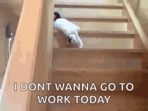 Wednesday Work Meme Cat Lazily Goes Downstairs GIF