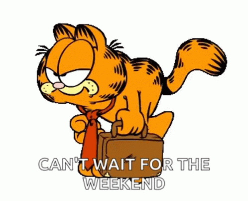 Wednesday Work Meme Mad Garfield With Suitcase GIF