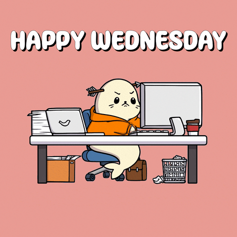 Wednesday Work Meme Sappy Seal GIF