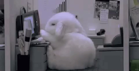 Wednesday Work Meme Sleepy White Rabbit GIF