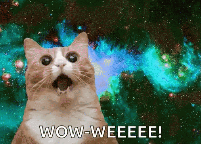 Weeee Wow Cat Galaxy GIF