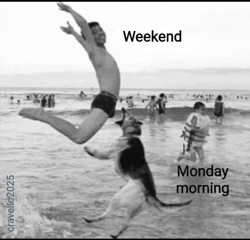 Weekend Is Over Mondays Meme GIF