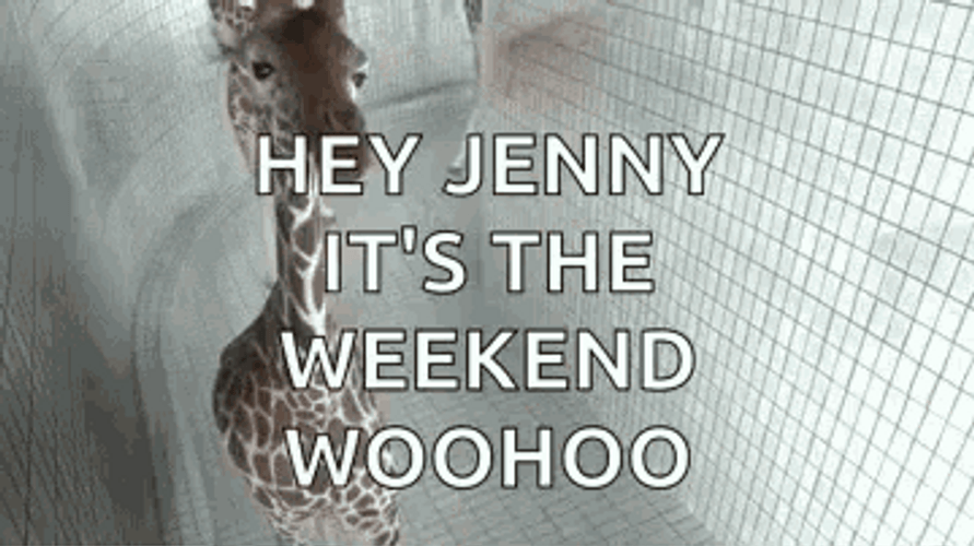 Weekend Woohoo Giraffe GIF