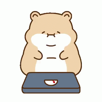 Hamster Weight Gain GIF