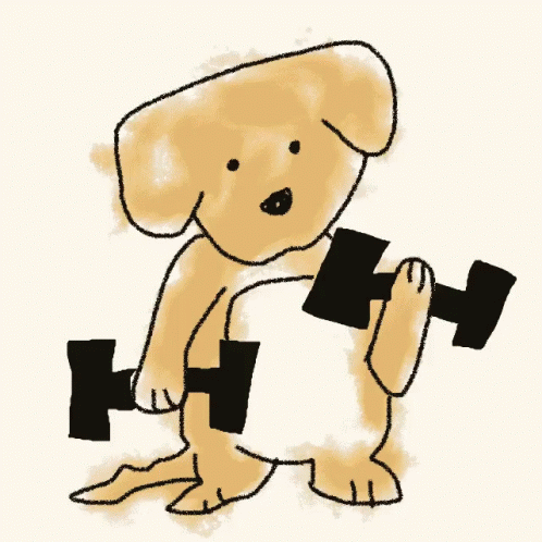 Weight Lifting Dog Puppy GIF