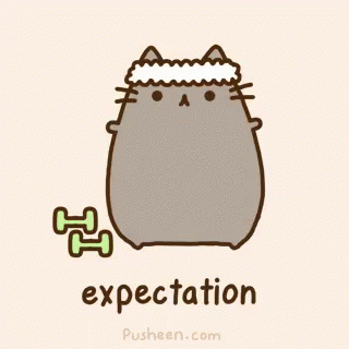 Weight Lifting Pusheen The Cat Expectation GIF