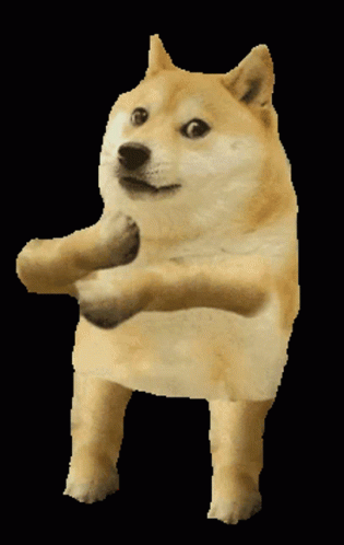 Weird Dancing Doge GIF
