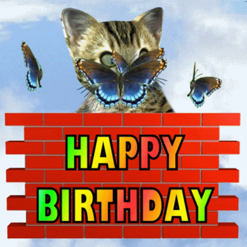 Weird Happy Birthday Butterfly Kitty GIF
