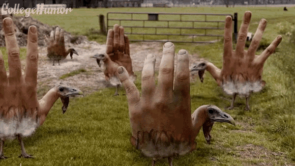 Weird Human Hand Turkey GIF