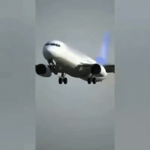 Weird Plane Legs Landing GIF