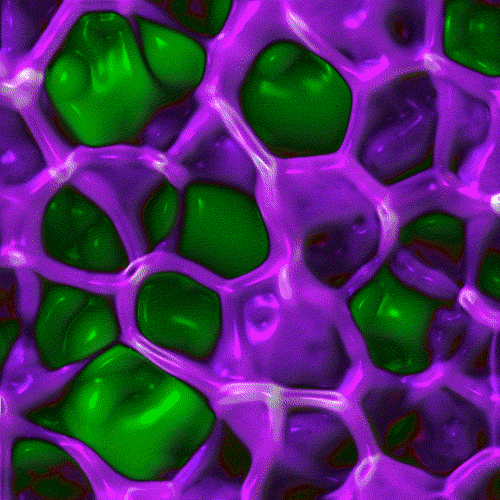 Weirdcore Drugs Surreal Dope Art GIF