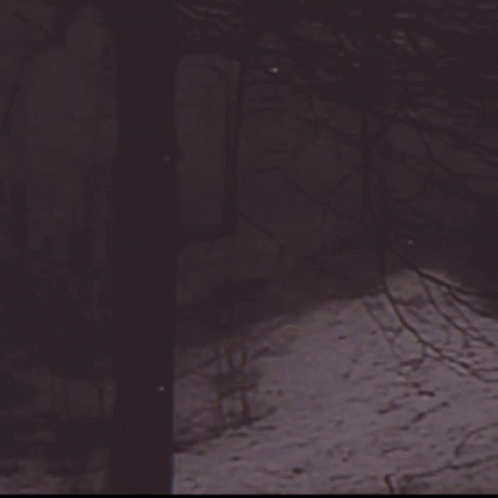 Weirdcore GIF