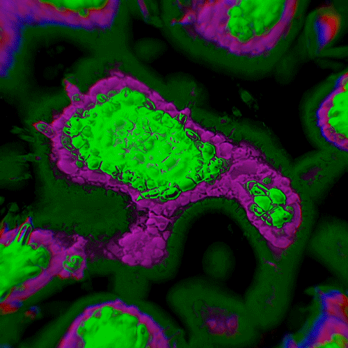 Weirdcore Hypnotic Abstract Wave GIF