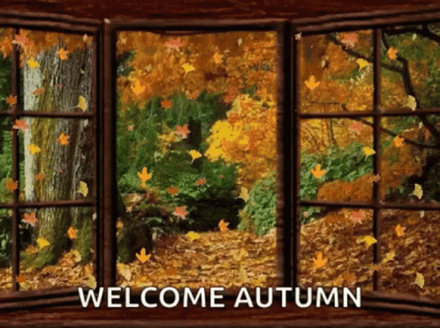 Welcome Autumn Time For Falling Leaves GIF