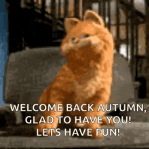 Welcome Back Autumn Garfield GIF