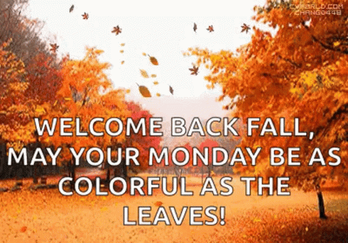 Welcome Back Fall , May Your Monday Be As Colorful As The Leaves GIF