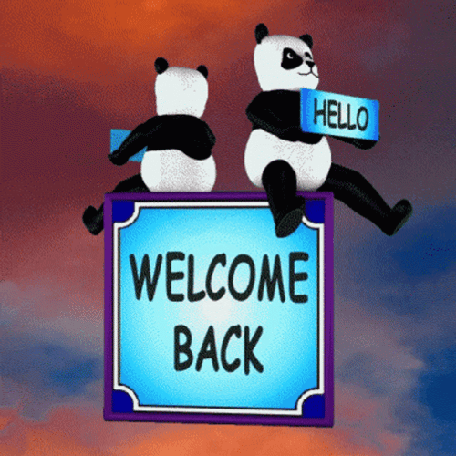 Welcome Back Panda GIF