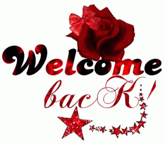 Welcome Back Red Rose GIF