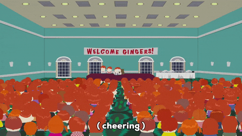 Welcome Gingers Presentation GIF