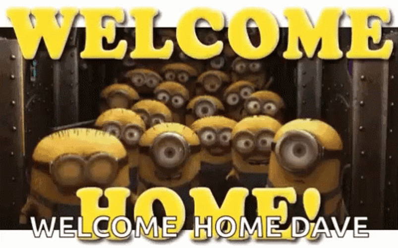 Welcome Home Dave GIF