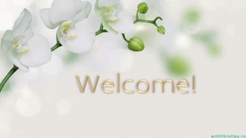 Welcome Text
