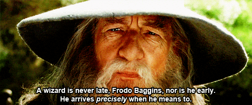 Welcome To Earth Gandalf GIF