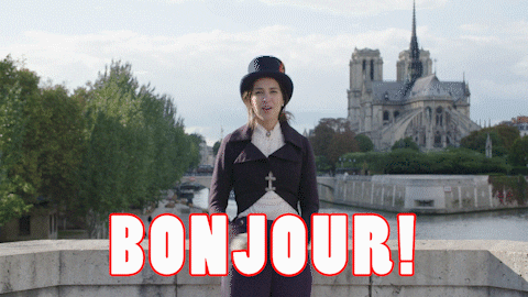 Welcome To France Bojour GIF