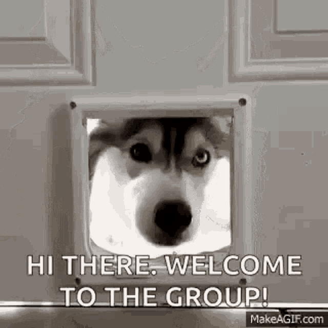Welcome To Gif GIF
