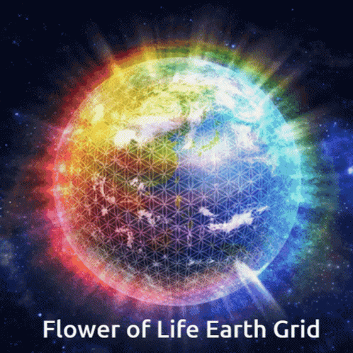 Welcome To Life Earth Grid GIF